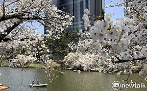 劉黎兒觀點》亂喊「解封」！日本單日新冠死亡逾300 當心賞櫻旅遭坑錢騙個資