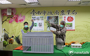 多管齊下防除綠鬣蜥成效佳  黃偉哲籲市民要有三不原則