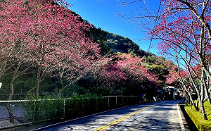 228連假好天氣恐爆出遊潮！省道21處易塞路段、時段一次掌握