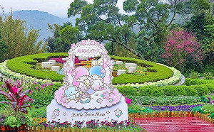 228連假最美花季！陽明山櫻花、水仙怒放 還可與雙星仙子相見歡