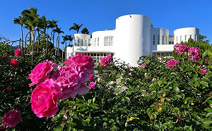 全新園區超夢幻！2022台北玫瑰展3/4浪漫登場