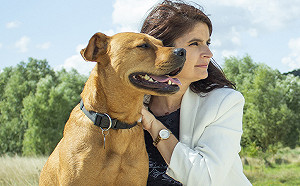 蔡筱穎觀點》「動」輒得咎！ 毛小孩權益左右法國總統大選