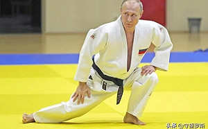 它是無辜的! 對俄制裁百百種 普丁跆拳道9段被撤 俄境內貓遭也禁止進口飼養