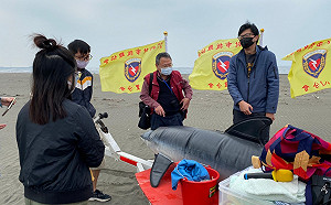 世界野生動植物日 新北首場「鯨豚海龜救援演練」正式啟動
