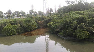 中油重油外洩 陳菊重砲開轟罰600萬