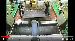 北市環保局：不再代銷毀司法贓證物