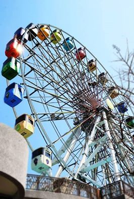 悼「小燈泡」馬：平時列管關懷社區高危險群