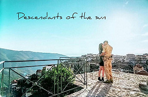 洪耀南觀點》太陽的後裔也來助選