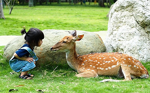 高鐵「國旅聯票」推出滿一週年！即日起加購車票享75折優惠