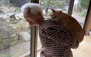 橘貓給奶奶揹！一臉滿足：阿嬤疼我