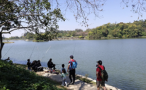 台南虎頭埤外來魚種入侵嚴重！市府辦釣魚比賽 獎金最高可得5千元