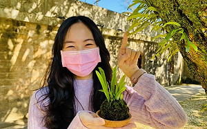 新北淡古響應國際森林日 推限定專場植物導覽、苔球DIY