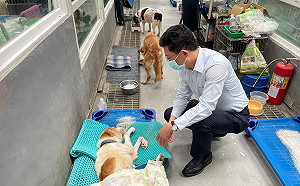 新北嚴辦虐貓男 議員金瑞龍籲各界關心動物權益