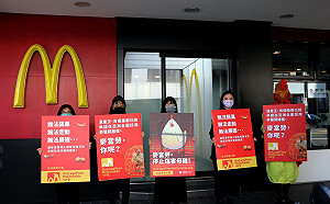停止虐待！亞洲動保團體籲麥當勞停用籠飼雞蛋