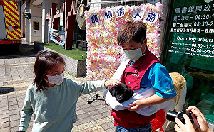 全國首創寵物友善圖書館   新北動保處辦多元認養活動