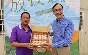 護蔣萬安大酸蘇貞昌 朱立倫：「電火球」不能缺電