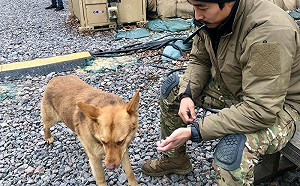 傳戰死烏克蘭！李根大尉IG突然已讀