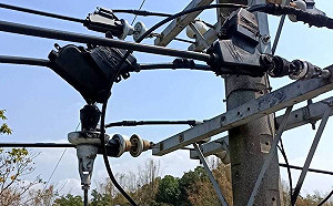 又停電！高雄大社、燕巢2000戶受影響 元凶竟是1隻小鳥