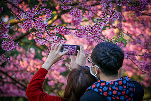 新北用健康農業 推城市心靈療癒健康