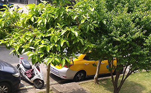 中市員警臉書爆料 砂石業者竟在派出所設崗哨！