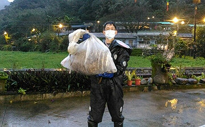 新裝上陣  新北動保處捕蜂戰力再升級