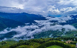 居民通行需求！公路總局：取消本週台14甲高乘載管制