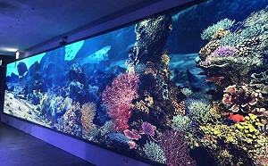 基隆新景點！潮境智能海洋館3/25開幕 試營運開放兩階段預約