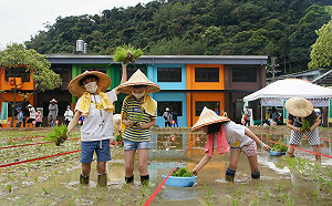 新北汐止區農會休閒中心完工啟用 長輩樂活體驗親子插秧