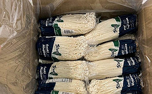 台灣金針菇驗出致命李斯特菌！美國FDA緊急公告收回