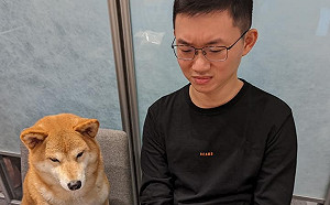 逆向行銷！視網膜崩潰嗆IKEA「芋頭冰淇淋」：好噁心