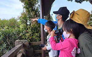 賞鵟鷹、探溪蝦 參山處推生態旅遊 國旅券加碼優惠