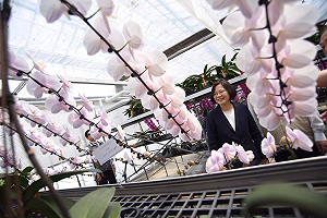 台南蘭花成新典範 小英：讓其成為全球第一