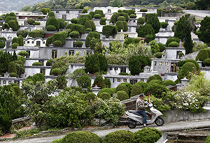 野島剛觀點》日本「彼岸」和清明節