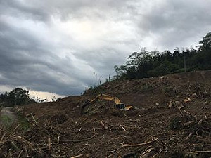 螢火蟲之墓！國產署追究濫墾民刑事責任