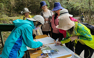不冬眠還會築巢？4月起玉山解說員帶你進入神秘的「台灣黑熊」世界
