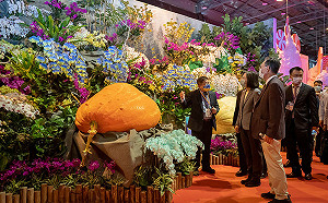 出席蘭展開幕 蔡英文：烏克蘭國旗色蘭花表達台灣的支持