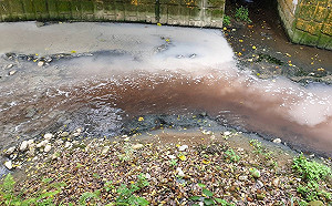 灰白廢水污染大漢溪 新北桃園聯手查出資源回收廠肇禍