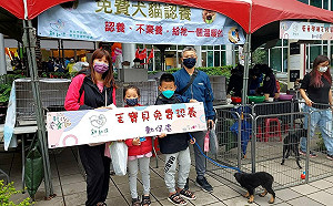 新北童樂節認養毛寶貝  孩子另類歡樂兒童節