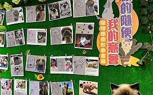 「隨便畫」兒童節新北毛寶貝園區開展  好看好玩有好康