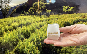 新北連假好好玩 4/30前加緊使用加倍券