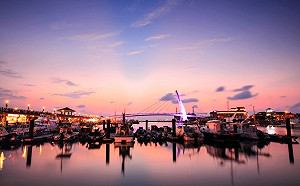 清明佳節低碳踏青趣 新北捷運歡樂無限遊