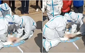 中國驚傳「嬰兒PCR採檢遭捅死」 公安局：不慎被棉被遮蓋口鼻窒息