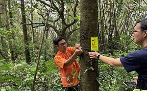登山結伴不可少 新北山域通訊護安全