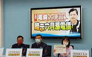 王美花脫口「電價其實太便宜」 藍黨團：預告電價要漲了