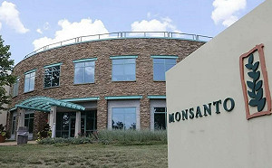 孟山都中國籍前員工遭控「經濟間諜」 美法院判處29個月