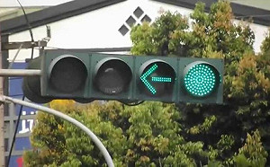 紅綠燈看錯好久？真正規則震撼三寶