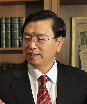 中國人大委員長張德江訪港  3天耗1.8萬警力