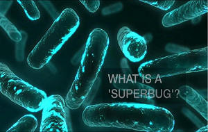 BBC：超級細菌 2050年可能造成10億人死亡