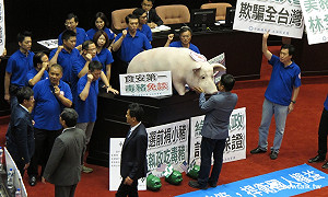 藍營續杯葛  林全下午仍無法上台報告