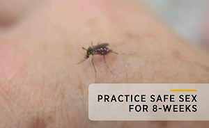 防堵茲卡  WHA推「8週禁欲/6月禁孕」守則